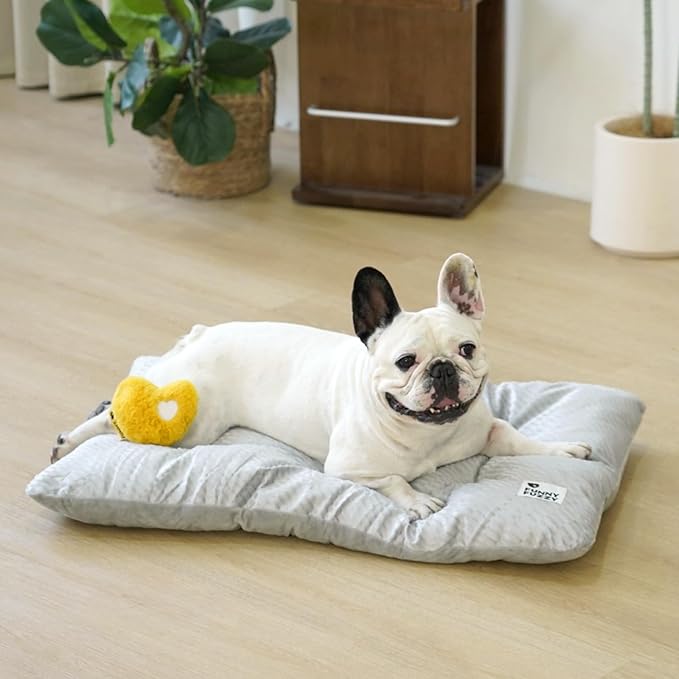 FUNNY FUZZY 2 in 1 Dog Bed Crate Pad Mat, Washable Reversible Floor Sleeping Mats,Fluffy Kennel Pad for Medium Sized Dog,Indoor Cats,Sleeping Mattress, 29.9" × 18.9", Light Grey-Mewly Pet