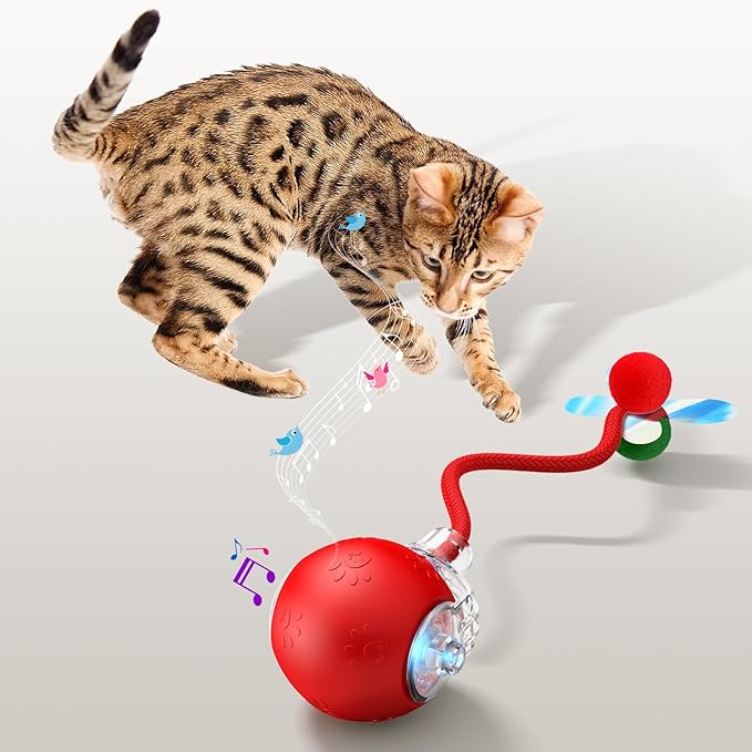 Interactive Cat Toys for Indoor Cats - Kitten Toy with Speedy Tail 2.0, Automatic Cat Toys for Bored Indoor Adult Cats, Motion-Activated, 2025 New Upgraded, USB Rechargeable (Red)-Mewly Pet