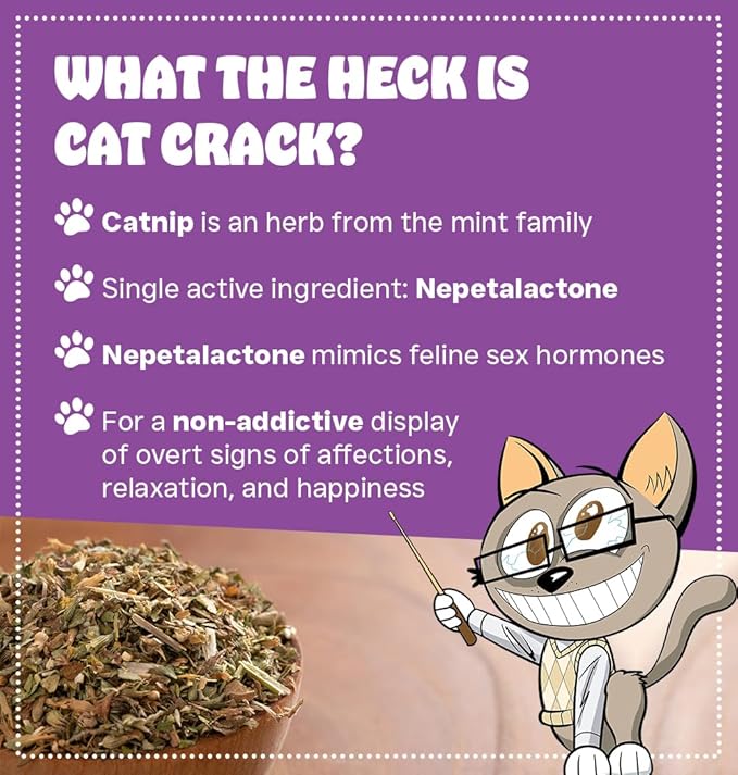 Cat Crack Catnip 1 Cup Bundled with Organic Catnip 1 Cup, Premium Blend Safe for Cats, Infused with Maximum Potency Your Kitty is Sure to Go Crazy-Mewly Pet