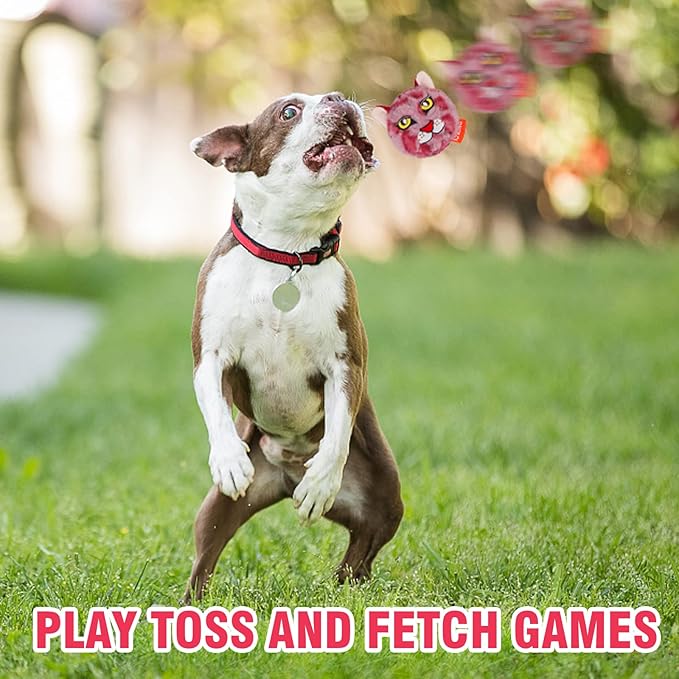 DKING 3Pack Squeaky Dog Balls,2 in1 Funny Puppy Ball Toys,Birthday Dog Toy for Small Medium Dogs (Animal Ball)-Mewly Pet