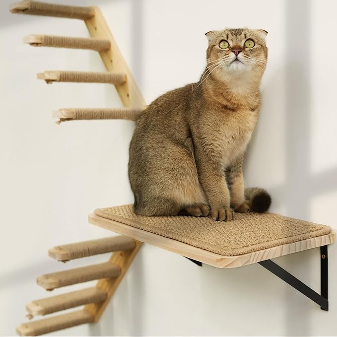 Cat Floating Wall Shelf with Scratching Mat, 1PC 9.7X16.6 Inch Large 1 Inch Thick Wood Cat Window Perches Hanging Shelves Wall Mounted Beds for Sleeping, Playing, Climbing, Support to 30 LBS-Mewly Pet