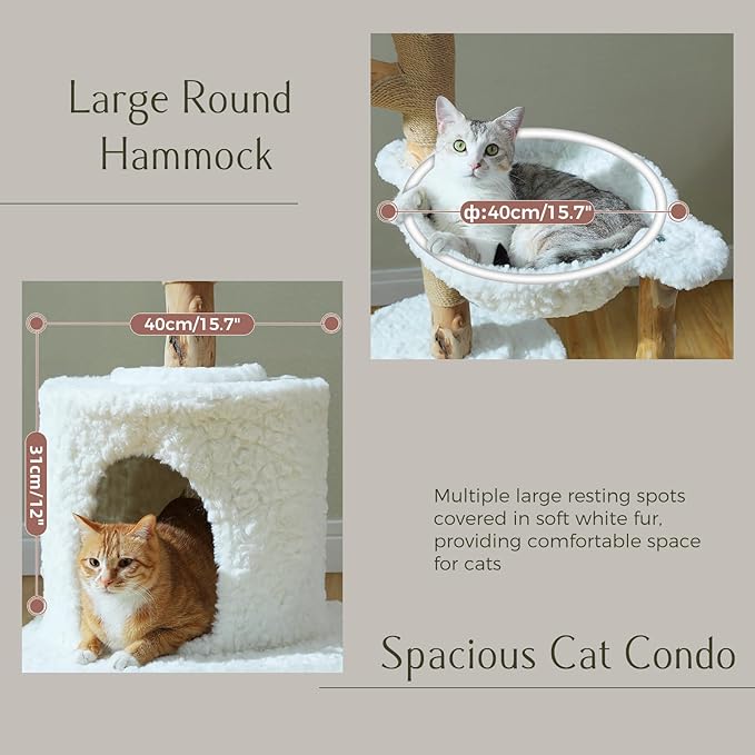 PAWZ Road Cat Tree for Indoor Cats Large Adults, 59 Inches Modern Cat Tower with Large Basket and Hammock, Natural Solid Wood, Luxury Condo & Dual Perches, Modern Cat Furniture for Big Cats, White-Mewly Pet
