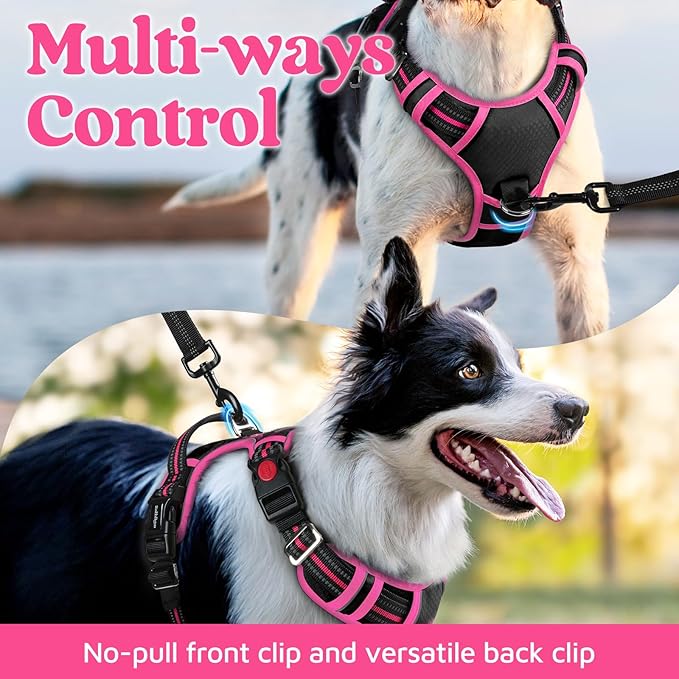 rabbitgoo Dog Harness for Large Dogs, No Pull Pet Vest with 3 Buckles, Adjustable Soft Padded Pet Harness with Easy Control Handle and Reflective Strips, Black & Rose Pink, XL-Mewly Pet