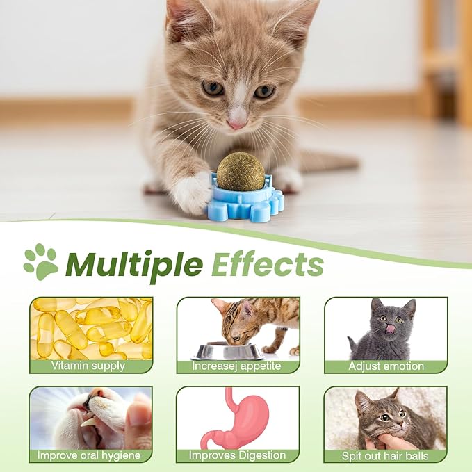 Catnip Toys 4 Pack Catnip Balls Catnip Wall Ball 360° Rotatable Chewing Teeth Cleaning Edible Cat Interactive Toys Indoor Play with Cats Wall Anxiety Relief Cat Chew Ball-Mewly Pet