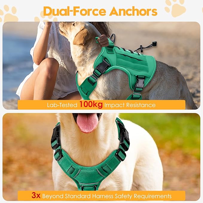 Heavy-Duty Tactical Dog Harness for Large Dogs, No Pull Adjustable Reflective Pet Vest with Molle System, K9 Military-Grade Control for Service Training, Outdoor & 10+ Breeds, Turquoise, Large-Mewly Pet