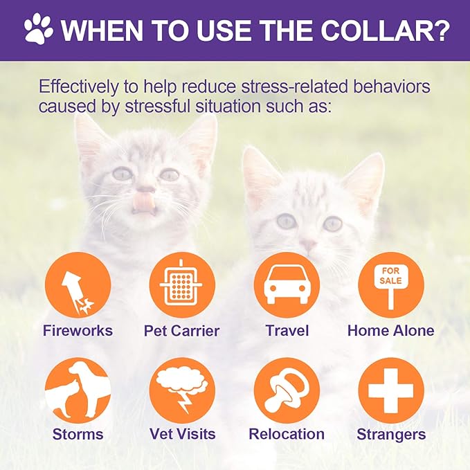 4 Pcs Cat Calming Collar Adjustable Lavender Scent Relaxing Cat Collar with 2 Pendant for Puppies Reduce Stress Aggression Anxious, up to 15 Inches(Purple, Gold)-Mewly Pet
