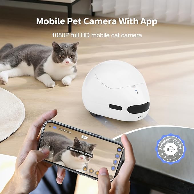 Cat Camera with Interactive Pointer Toy, Moving Robot for Dog and Cat, Mobile Pet Camera Treat Dispenser with Phone App, Auto Recharging and Night Vision, Two-Way Audio (2.4G Wi-Fi Only)-Mewly Pet