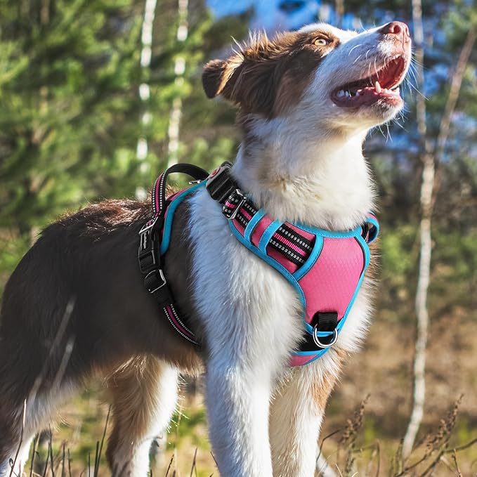 rabbitgoo Dog Harness Medium Sized, No Pull Dog Vest with 3 Buckles, Adjustable Soft Padded Pet Harness with Easy Control Handle and Reflective Strips, Rose Pink & Blue, M-Mewly Pet
