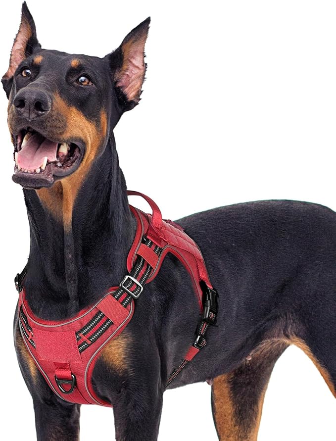 rabbitgoo Dog Harness for Large Dogs No Pull, Tactical Service Pet Vest with Molle and Control Handle, Adjustable and Reflective Military Harness for Easy Walking and Training, Red, XL-Mewly Pet