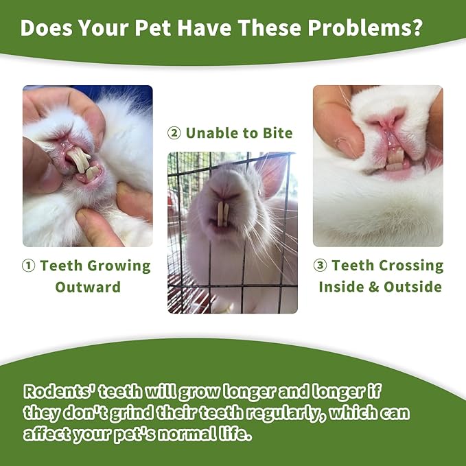 Fhiny Rabbit Chew Toys, 6 PCS 3.9" Natural Papaya Wood Chew Sticks Guinea Pig Treats for Dental Care Bunny Treats for Rabbits Small Pet Molar Snacks for Bunny Guinea Pig Chinchilla Hamster Gerbil-Mewly Pet