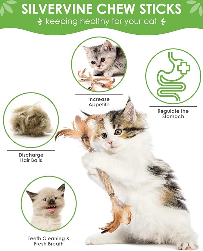 TINDTOP Silvervine Sticks for Cats with Natural Feather, Catnip Chew Toys for Kittens Teeth Cleaning, Increase Appetite, Calm Cat Anxiety and Stress, Cat Dental Toy (3 Pack)-Mewly Pet