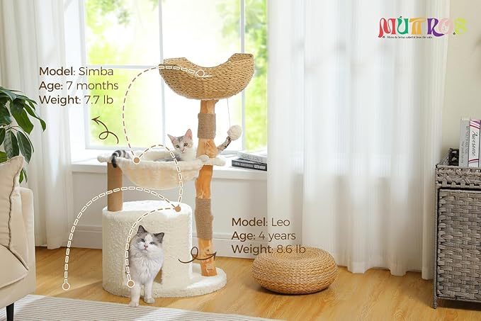 Modern Cat Tree for Large Cats, Wood Cat Tower for Indoor Cats, Real Branch Luxury Cat Furniture with Super Large Cozy Condo and Hammock & Scratching Post, Top Basket, White-Mewly Pet
