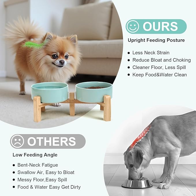 SPUNKYJUNKY Elevated Dog Bowls Ceramic, 5.1'' Dogs and Cat Food Water Bowls Raised with Non-Slip Bamboo Stand for Puppy Small Sized Breed Microwave Dishwasher Safe - 13.5 OZ,Light Green-Mewly Pet