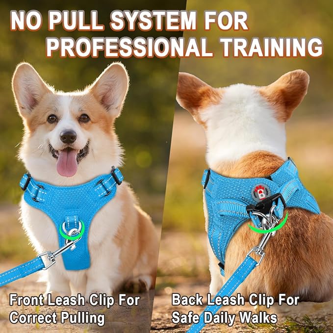 BARKBAY Dog Harness, Reflective Adjustable Puppy No Pull Harness, Breathable Soft, Blue, XXS-Mewly Pet