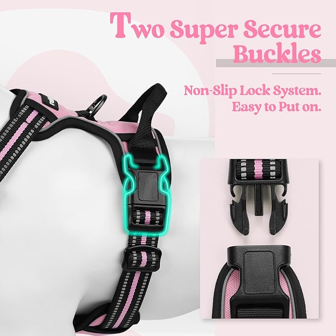 rabbitgoo Dog Harness No Pull with 2 Leash Clips, Adjustable Soft Padded, Reflective Oxford No Choke Pet Vest with Easy Control Handle for Small Dogs, Pink, S-Mewly Pet