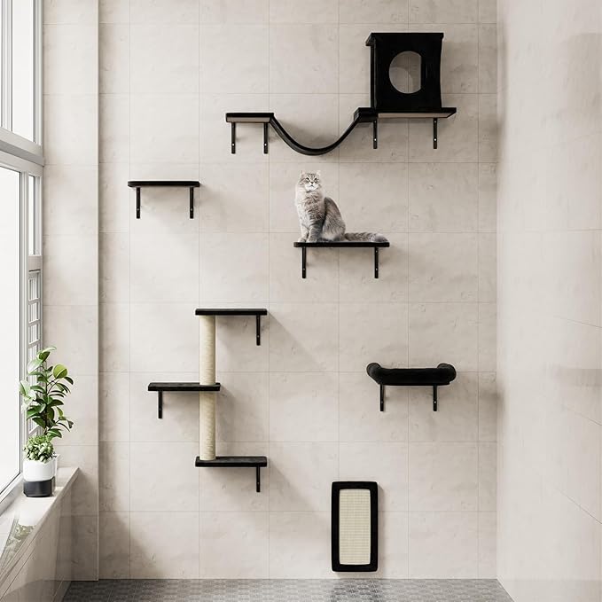 NUNU LAB Wall Mounted Cat Furniture, 6 Pcs Cat Wall Shelves with Condo House, Bridge, Steps, Scratcher, Hammock, Indoor Safe & Stable Furniture for Kittens Play, Black-Mewly Pet
