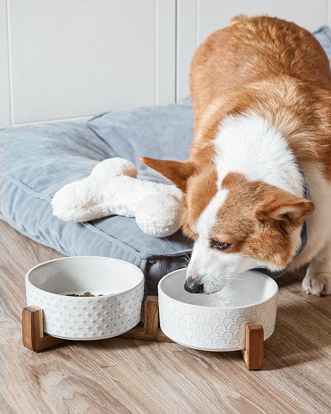 LE TAUCI Ceramic Dog Bowls with Acacia Wood Stand - 7 Inch Food & Water Set for Medium-Large Dogs - Weighted Pet Bowls-Mewly Pet