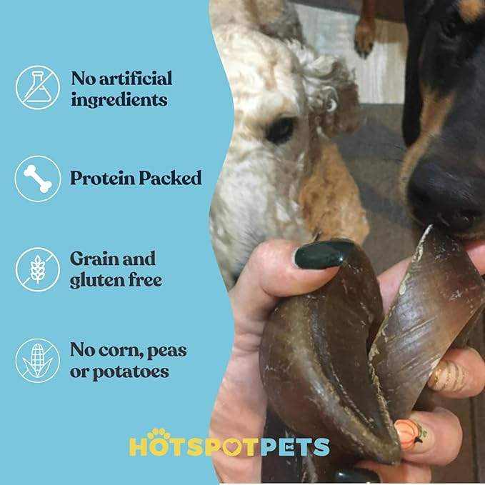 Full-Size Cow Hooves for Dogs | (50 Pack) All-Natural Long Lasting Dog Chews | Made from Grass Fed Cattle | Tasty Treat for Oral Hygiene | Fantastic Alternative for Rawhide and Bully Sticks-Mewly Pet
