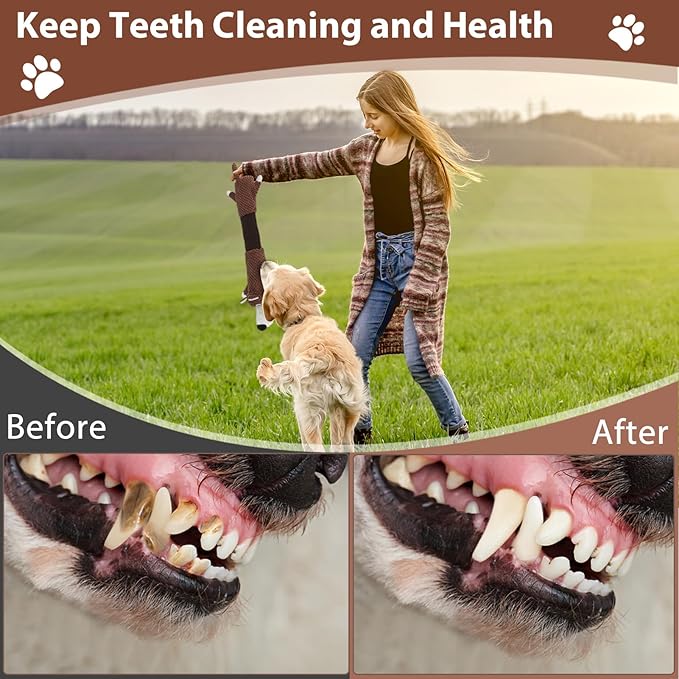 Squeaky Dog Toys with Crinkle Paper, Tough Puppy Toys and Plush Dog Chew Toy, Interactive Tug of War Dog Toy for Small, Medium and Large Breed Dogs-Mewly Pet