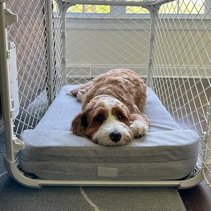Diggs Bolstr Orthopedic Dog Bed with Headrest - Dog Crate Bed for Evolv Crate & Other Standard Pet Kennels - Durable & Comfortable - (Small)-Mewly Pet