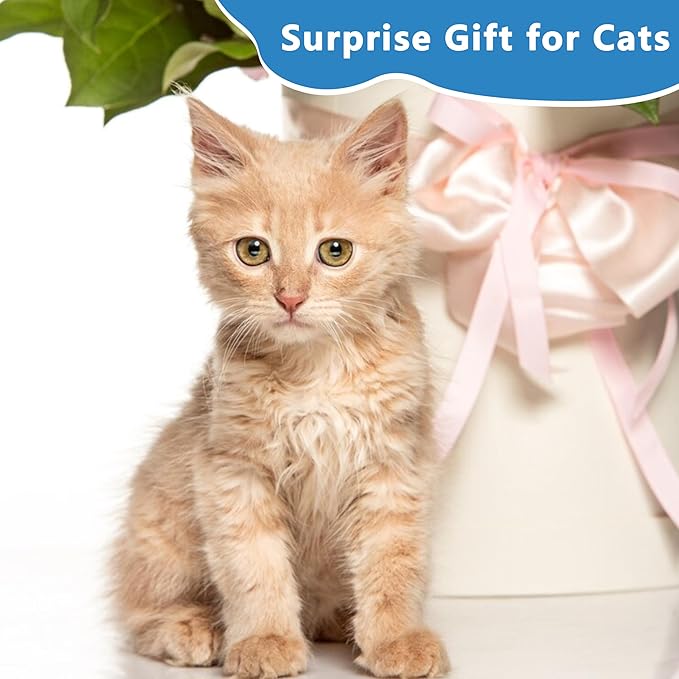 3pcs Safe Cat Rope Toy,Teeth Clean Toy for Cat, Cat Chew Toys for Indoor Cat,Kitten Interactive Toys-Mewly Pet