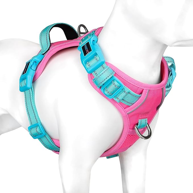 PHOEPET No Pull Dog Harness, Unique Colors Reflective Adjustable Dog Vest, with Soft Training Handle Metal Clips for Small Medium Large Dogs (Pink Base & Green Straps,XS)-Mewly Pet