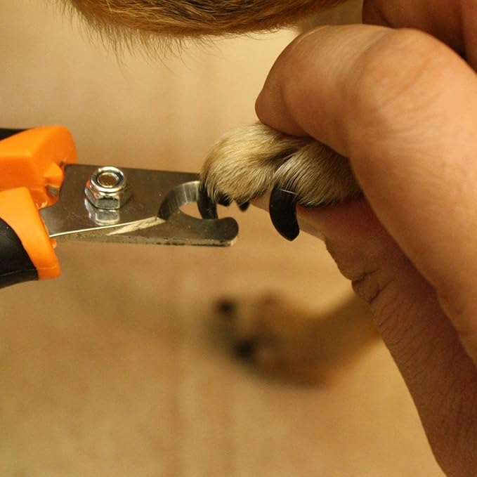 GoPets Pet Nail Clipper Bundle for Dogs and Cats with Large and Small Nail Trimmer with Free Nail File Grinder with Quick Guard and Angled Blades for Safety 2 Nail Cutter Bundle-Mewly Pet