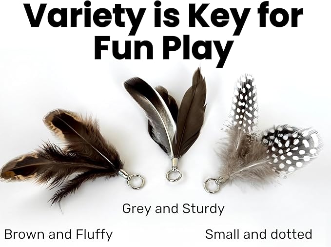 Feather Toys Replacements (3 Pc) - Cat Toys & Kitten Toys for Indoor Kittens, Set of Replacement Feather Attachments Extra Small and Durable, for Cat Wands, Natural and Safe-Mewly Pet