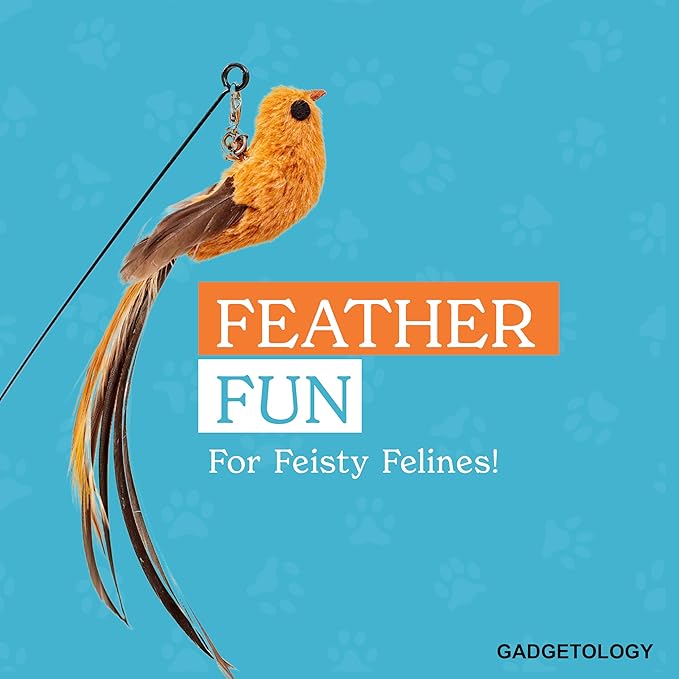 Interactive Bird Simulation Cat Toy Set for Bored Indoor Adult Cats Feather Toy Wand 5 Pcs Natural Bird Feathers Stable Round Base Wand Cat Toys for Indoor Cats Hunting Toys-Mewly Pet