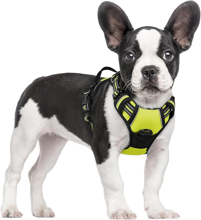 rabbitgoo Dog Harness No Pull with 2 Leash Clips, Adjustable Soft Padded, Reflective Oxford No Choke Pet Vest with Easy Control Handle for Small Dogs, Wild Lime,S-Mewly Pet
