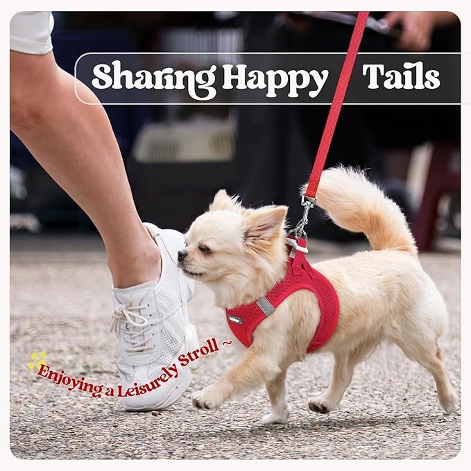rabbitgoo Dog Harness Small Sized and Leash Set, Step in Soft Light Puppy Vest, Breathable Mesh Pet Harness, Reflective for Safe Easy Walking, Red M-Mewly Pet