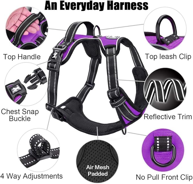PoyPet No Pull Dog Harness, Reflective Comfortable Vest Harness with Front & Back 2 Leash Attachments and Easy Control Handle Adjustable Soft Padded Pet Vest for Small to Large Dogs (Purple,XL)-Mewly Pet
