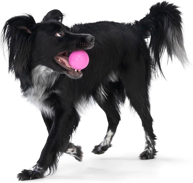 WEST PAW Boundr Ball Dog Fetch Toy – Bouncing Toys for Dogs, Fetch, Catch, Chewing, Play – Floatable, Recyclable Balls – Small Dandelion Yellow/Hot Pink 2-Pack-Mewly Pet