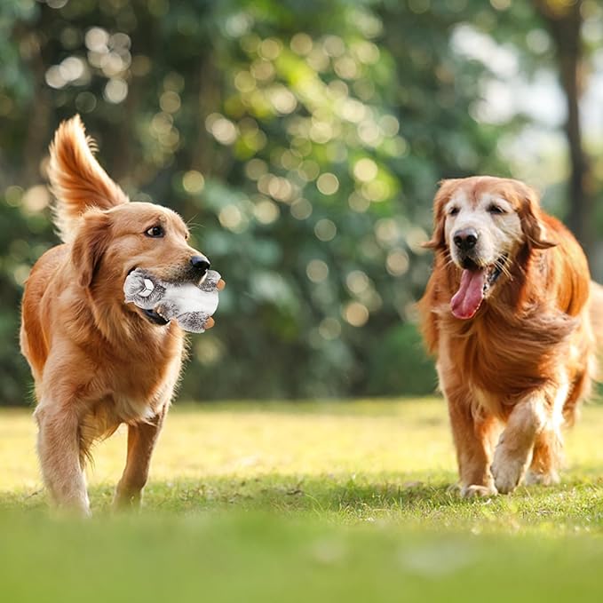 DODODOLA Dog Toys Plush Squirrel Stuffed Animals Chew Toy Soft Squeaky Gift for Small Medium Big Large Dogs Pet-Mewly Pet