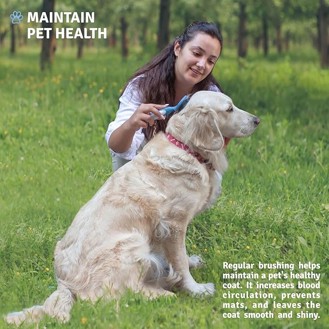 Round Bristle Pet Brush for Dogs and Cats - Soft Dog Brush for Grooming Short or Long Hair - Gentle Tool for Sensitive Skin Removes Dander, Dirt, and Detangles (Blue)-Mewly Pet