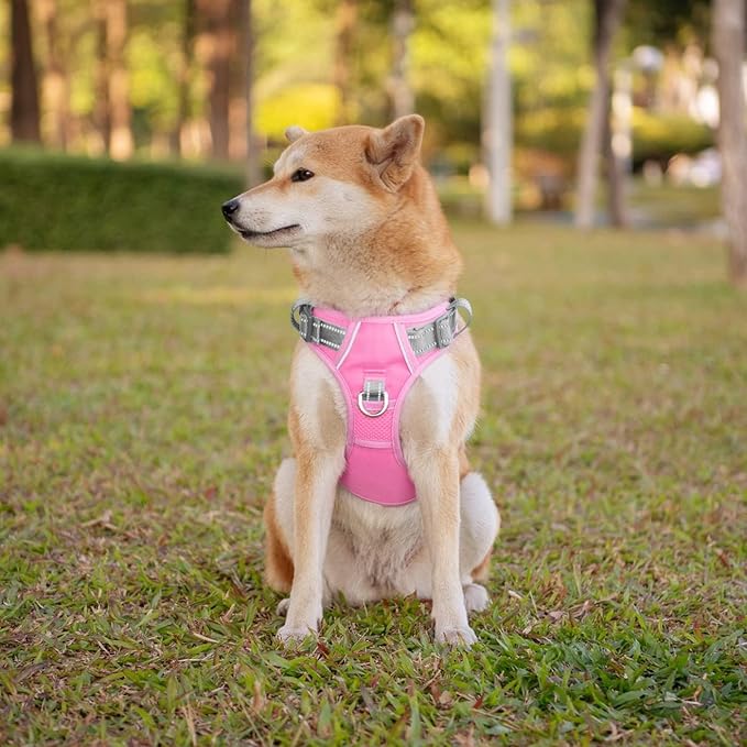 PHOEPET No Pull Dog Harness, Unique Colors Reflective Adjustable Dog Vest, with Soft Training Handle Metal Clips for Small Medium Large Dogs (Baby Pink Base & Grey Straps,L)-Mewly Pet