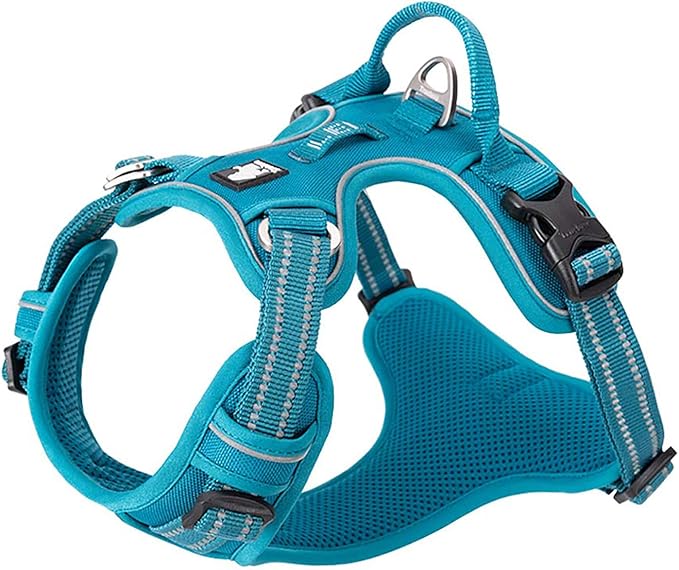 TRUE LOVE Dog Harness No Pull Nylon Reflective Pet Harness Adjustable Comfortable Control Step-in Brilliant Colors Truelove TLH56512 XS Blue-Mewly Pet