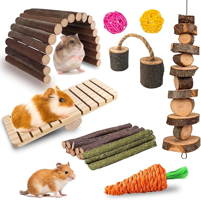Grddaef Hamster Toys, Guinea Pig Chew Toys Small Animal Enrichment Toys Cage Accessories for Chinchilla Gerbils Rats Bunny Mouse-Mewly Pet