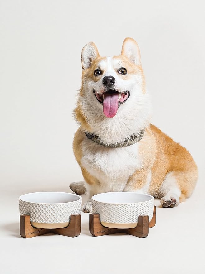 Ceramic Dog Bowl Set, 4 Cups Food and Water Bowl for Medium Small Dogs, Cute Pet Dishes with Wood Stand, Rhombus+Wave Design (Set of 2)-Mewly Pet