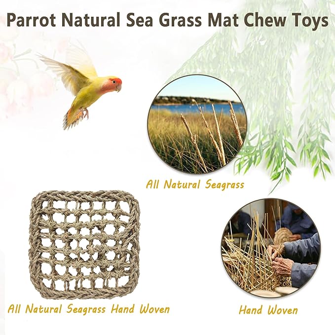 BNOSDM Bird Seagrass Mat, 3 PCS 7.1 x 7.1 Inches Parrot Natural Seagrass Woven Bird Net Hammock Mat, Parakeet Climbing Rope Ladder Chew Toys Hut Hideout for Lovebird Cockatiel Conure Budgie-Mewly Pet