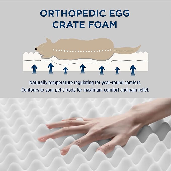 Bedsure XL Dog Beds Large Sized Dog - Extra-Large Orthopedic Flat Puppy Bed with Removable Washable Cover, Egg Crate Foam Pet Mat, Suitable for Pet Up to 100 lbs-Mewly Pet