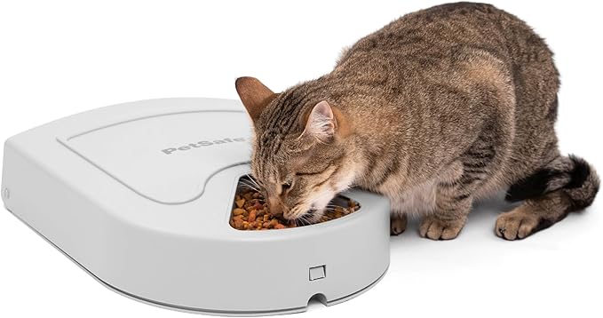 PetSafe Automatic Dog Feeder, 5 Meals, 40 oz Capacity, Plastic, for Dry Food, Multiple Pets-Mewly Pet