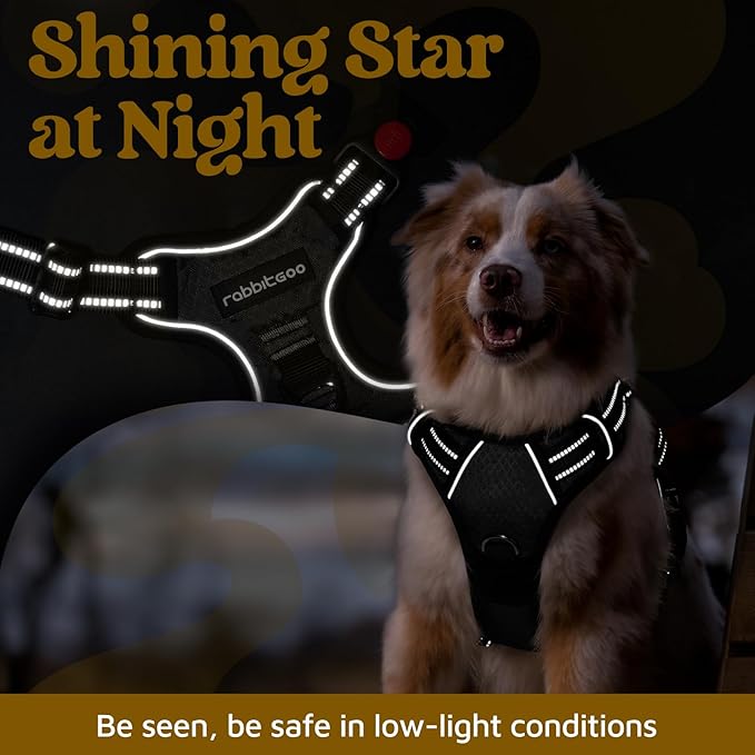 rabbitgoo Dog Harness Medium Sized, No Pull Dog Vest with 3 Buckles, Adjustable Soft Padded Pet Harness with Easy Control Handle and Reflective Strips, Black, M-Mewly Pet