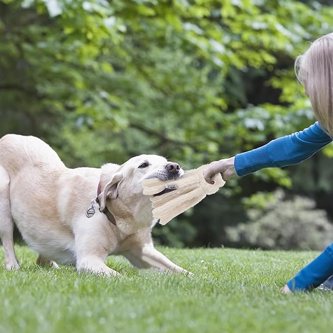 DODODOLA Dog Toys Squeaky Dog Toys with Crinkle Paper Cute Stuffed Octopus Durable Dog Plush Toys for Large Breed Dog Chew Toys for Small, Medium, Large Dogs-Mewly Pet