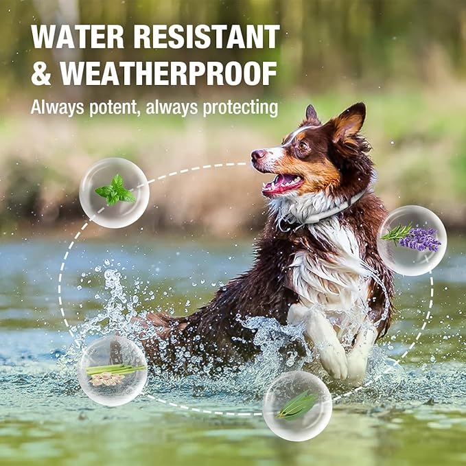 EcoVenger Flea & Tick Collar Repellent 2-Pack White, Fits Both Dogs & Cats, Built-in Pant-Based Formula Strong Repellency Slow Release, Lasting Deterrence and Protection, Pleasant Aroma, Waterproof-Mewly Pet