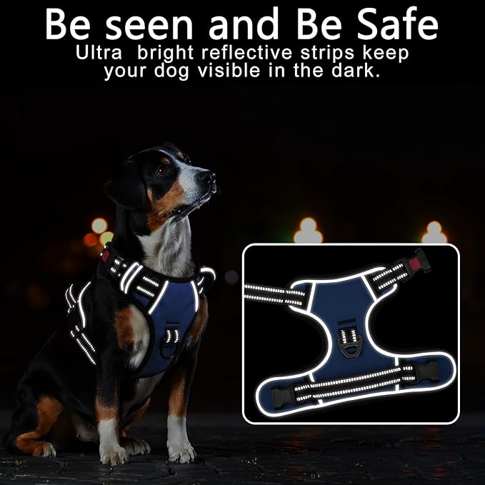 Timos Dog Harness for Medium Dogs, No Pull Service Vest with Reflective Strips and Control Handle,No Choke Dog Harness with 2 Metal Rings for Easy Walking,Outdoor Training,Blue, M-Mewly Pet