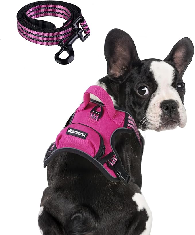 BUMBIN Dog Harness for Large Dogs, No Pull Adjustable No Choke Pet Vest with Dog Leash Fit Smart Reflective Pet Walking Harness for Training Easy Control Soft Handle Rose Red S-Mewly Pet