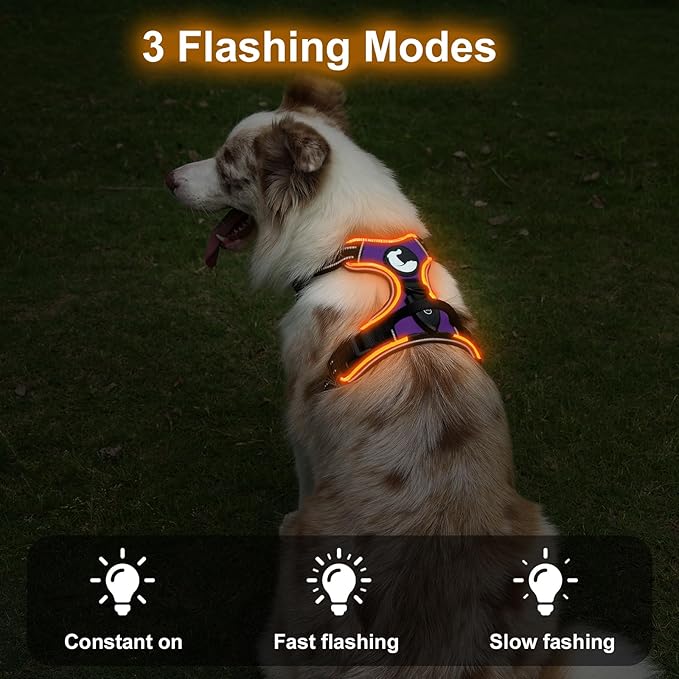 Taglory Light Up Dog Harness, Rechargeable No Pull Dog Vest with 3 Lightning Modes, Reflective Dog Harness with 2 Leash Clips & 4 Adjustable Slide Strips for Large Dogs, Purple-Orange, L-Mewly Pet
