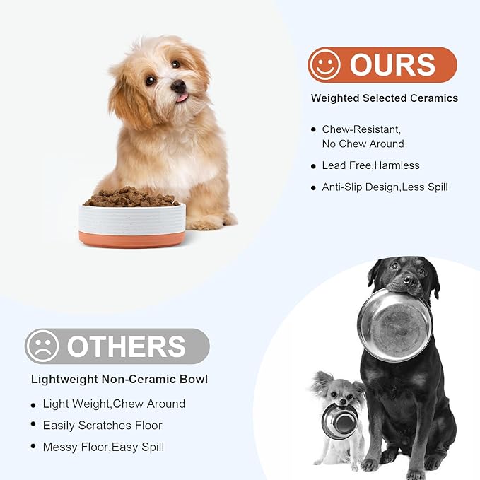 SPUNKYJUNKY Ceramic Dog and Cat Bowls 2 Pack, 5.1'' Dog and Cat Food Water Double Feeding Bowls Non-Slip for Cats and Puppy Small Sized Breed Microwave Dishwasher Safe - 13.5 OZ, 2pcs, Pattern White-Mewly Pet