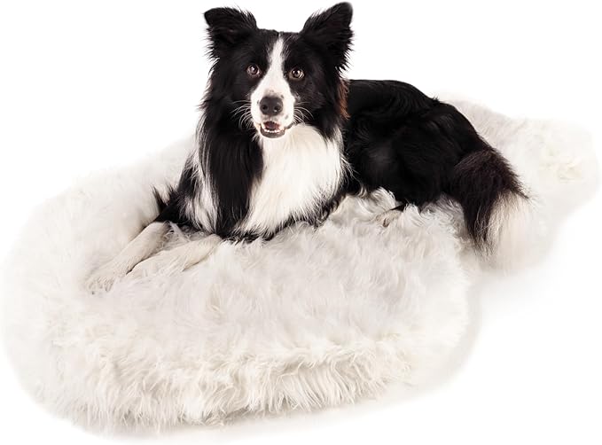 PupRug Orthopedic Dog Bed for Large Dogs with Fluffy Soft Faux Fur and Memory Foam for Joint Pain Relief, Machine Washable and Waterproof Couch Bed, Polar White, Large/Extra Large-Mewly Pet